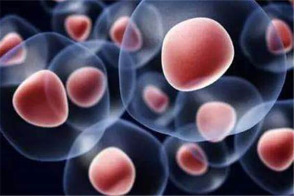 干细胞在皮肤病中的研究！？