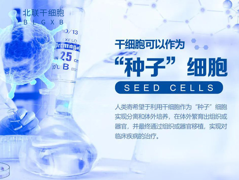 干细胞治疗男性勃起功能障碍临床研究