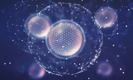 nk细胞免疫治疗多少钱