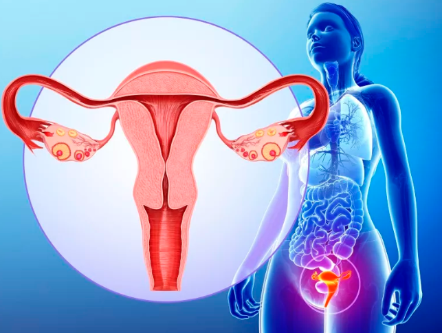 干细胞如何治疗女性卵巢早衰