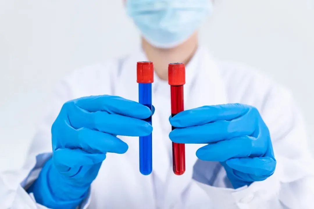 造血干细胞移植过程