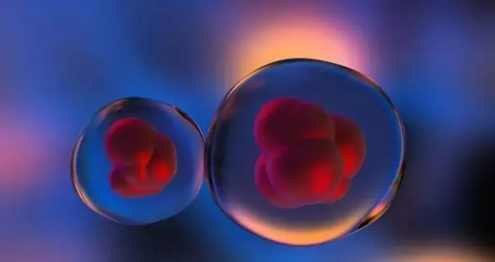 当干细胞进入你体内后的神奇表现