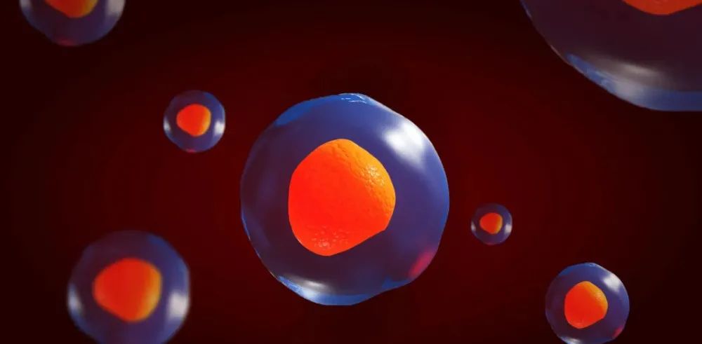 当干细胞进入你体内后的神奇表现