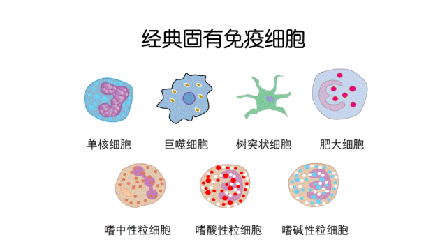 疫情三年我们应该明白了这些道理...未来请置顶你的免疫力