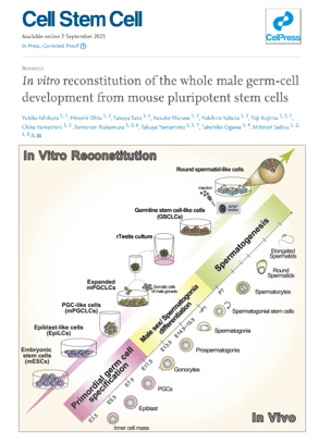人造精子都出来了！无精子症也能生娃-北联世纪3D精子体外培养