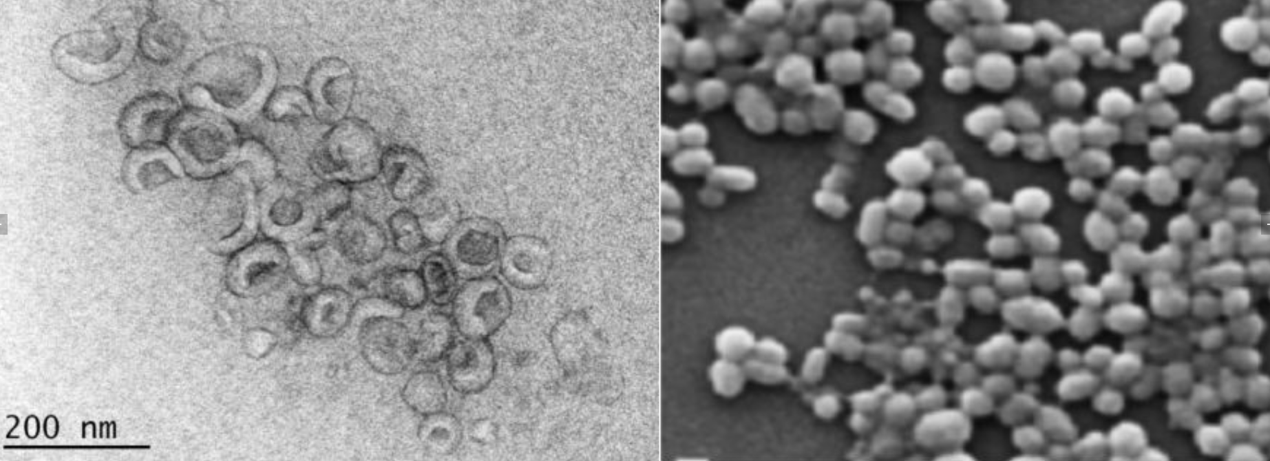 关于“外泌体”皮肤美丽老，你知道多少