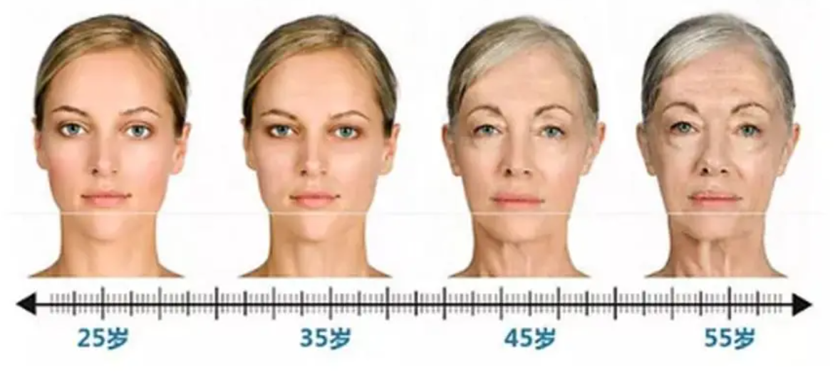 关于“外泌体”皮肤美丽老，你知道多少