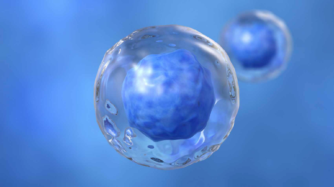 炎症-是人类万病之源，而干细胞将是它的“终结者”