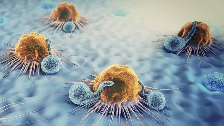 【最全】免疫细胞疗法常见问题汇总解答！