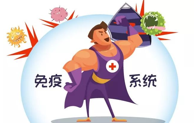 【最全】免疫细胞疗法常见问题汇总解答！