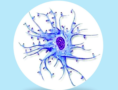 【最全】免疫细胞疗法常见问题汇总解答！