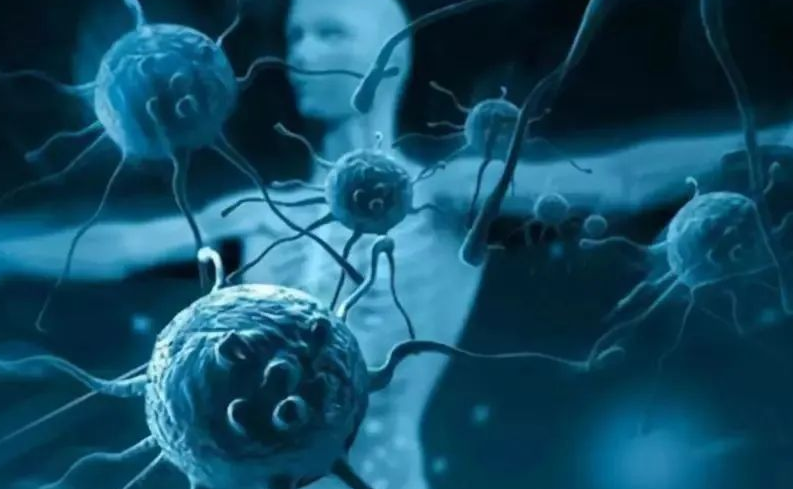 【最全】免疫细胞疗法常见问题汇总解答！