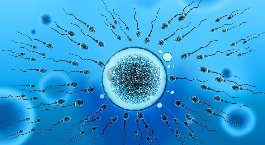 取身体组织，利用IPS技术就能制造精子、卵子直接生娃？