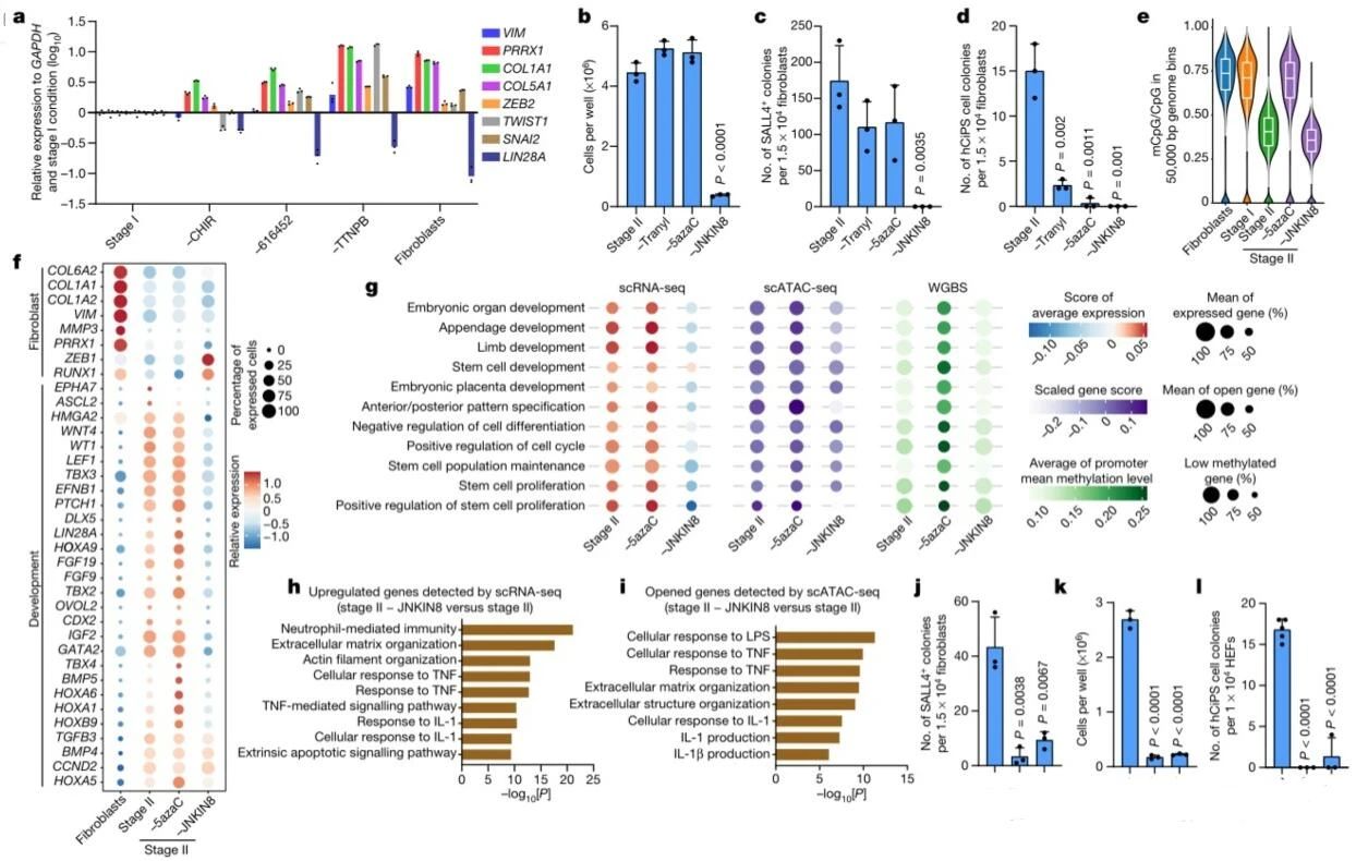国际期刊《NATURE》hCiPSC化学诱导重编程人多能干细胞