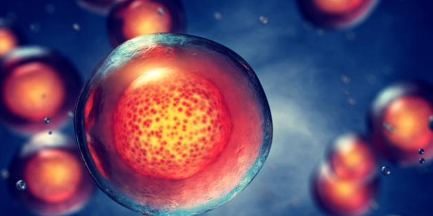 干细胞治疗将改变听力障碍的治疗方式