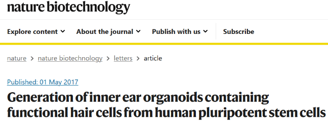 干细胞治疗将改变听力障碍的治疗方式