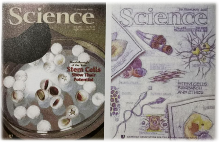 真正意义上的“返老还童之术”-iPS细胞技术的问世