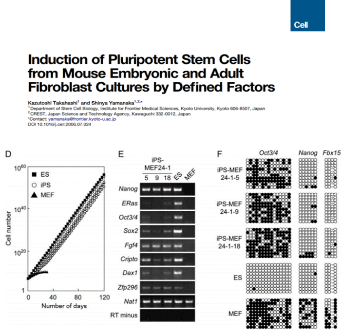 真正意义上的“返老还童之术”-iPS细胞技术的问世