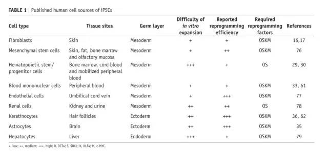 展望未来10年的iPSC诱导多能干细胞技术