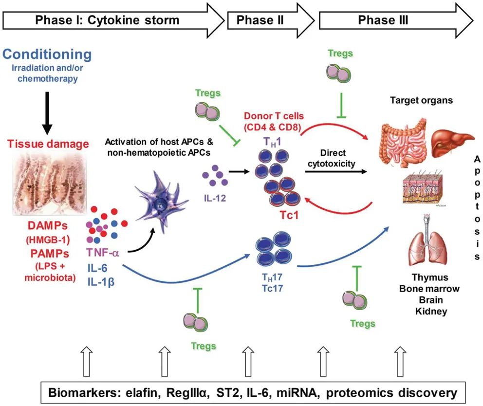 填补儿童药物空白！FDA或批准首个“现货型”间充质干细胞药物上市