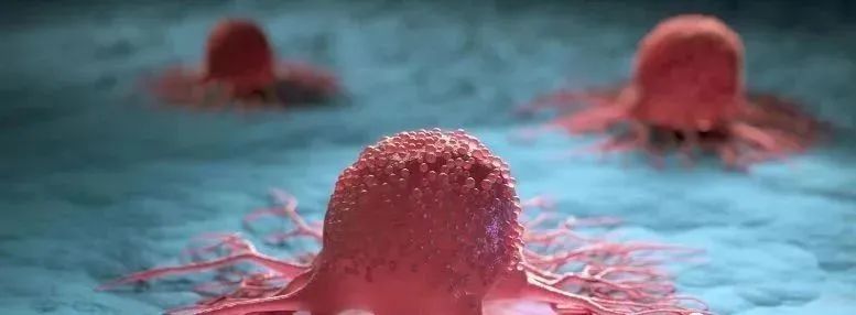 干细胞针对死精子要多少钱治疗