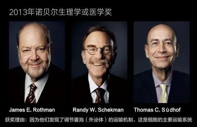 外泌体技术及其主要研究进展概述