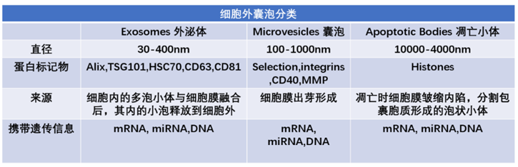 外泌体技术及其主要研究进展概述