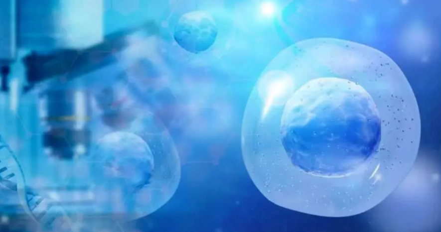 自体外周血造血干细胞移植详解