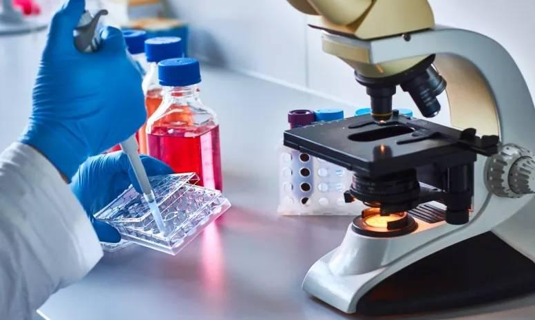 自体外周血造血干细胞移植详解