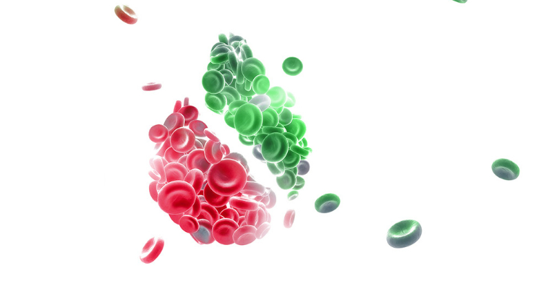 自体外周血造血干细胞移植详解