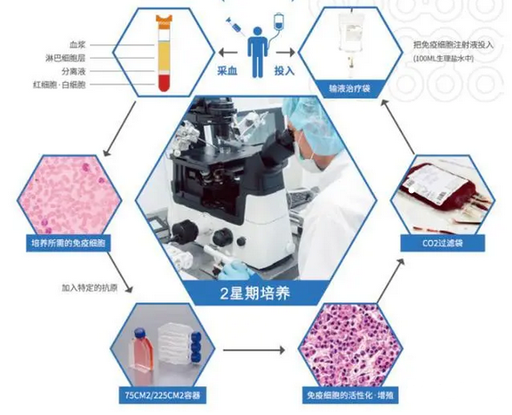 肿瘤患者接受免疫治疗多久起效？疗效能持续多长时间？