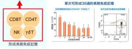 肿瘤患者接受免疫治疗多久起效？疗效能持续多长时间？