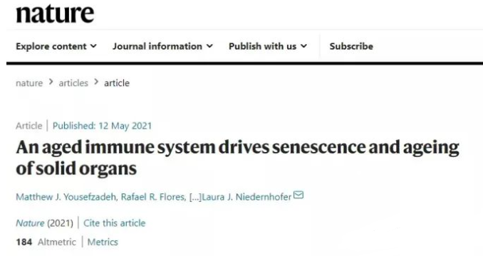 免疫细胞！人体最重要的健康守护者！