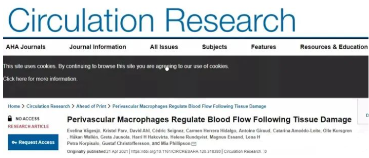 免疫细胞！人体最重要的健康守护者！