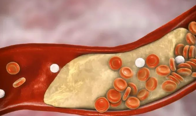 免疫细胞！人体最重要的健康守护者！