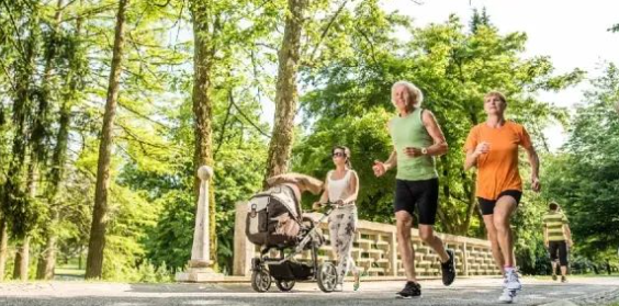 免疫细胞！人体最重要的健康守护者！