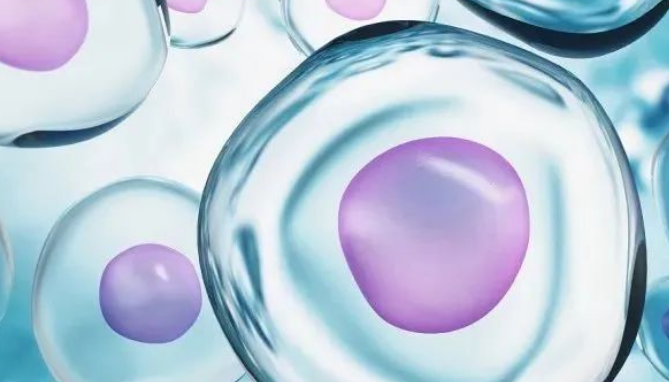 《细胞治疗杂志》：MSC移植会减缓渐冻症的进展，把生存期从不足6年提升到10年