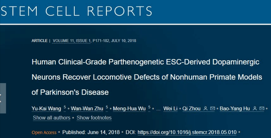 干细胞疗法为帕金森患者带来新希望