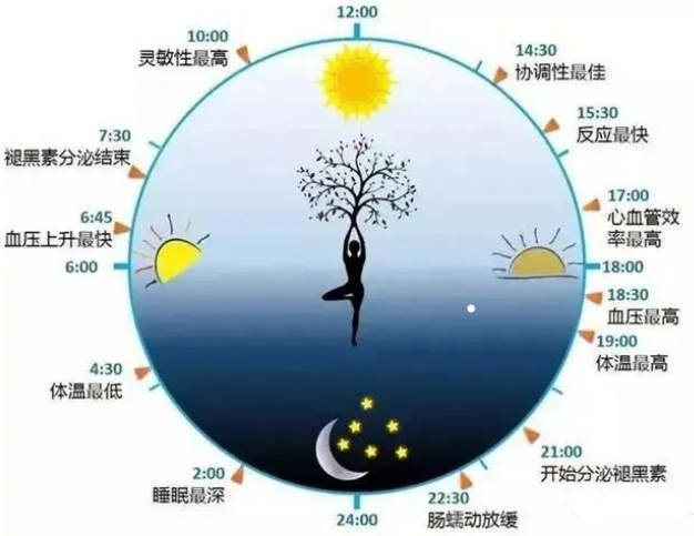 低质量睡眠会影响免疫系统，使NK细胞活性下降70%！