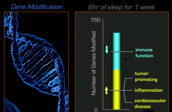 低质量睡眠会影响免疫系统，使NK细胞活性下降70%！