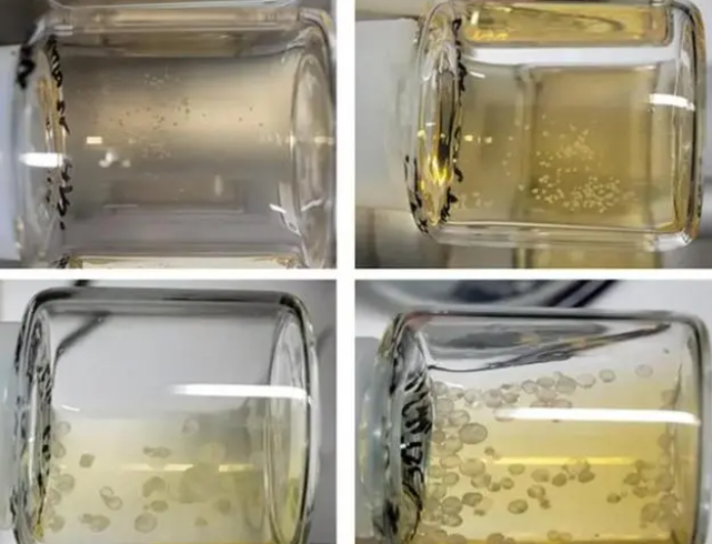 外媒：以色列用小鼠干细胞培育出“人造合成胚胎”