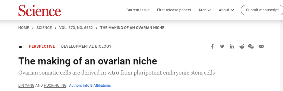 科学家用干细胞体外培养”人造“小鼠卵子,让公鼠怀孕,还成功诞下10只健康幼崽