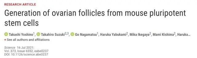 科学家用干细胞体外培养”人造“小鼠卵子，​让公鼠怀孕，还成功诞下10只健康幼崽