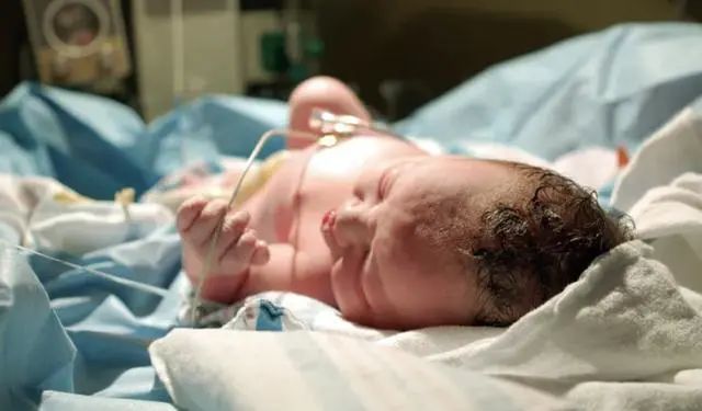 科学家用干细胞体外培养”人造“小鼠卵子，​让公鼠怀孕，还成功诞下10只健康幼崽