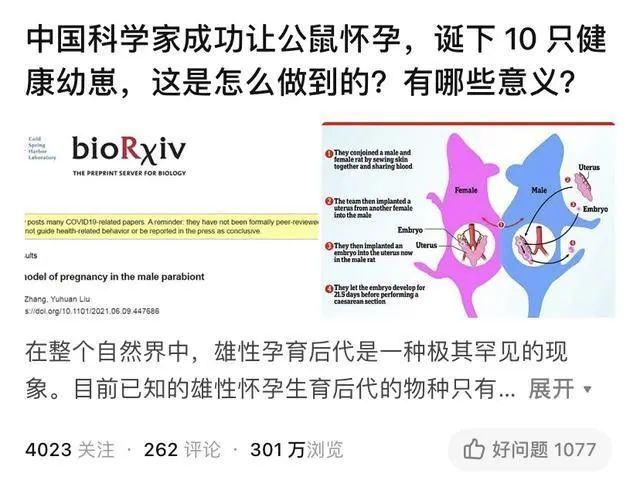 科学家用干细胞体外培养”人造“小鼠卵子，​让公鼠怀孕，还成功诞下10只健康幼崽