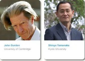 诱导多能干细胞iPSC是如何被发现的，一经发现就取得了2012年诺贝尔奖