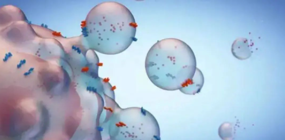 “心脏支架难救命”干细胞将成为心血管疾病的“强大补丁”