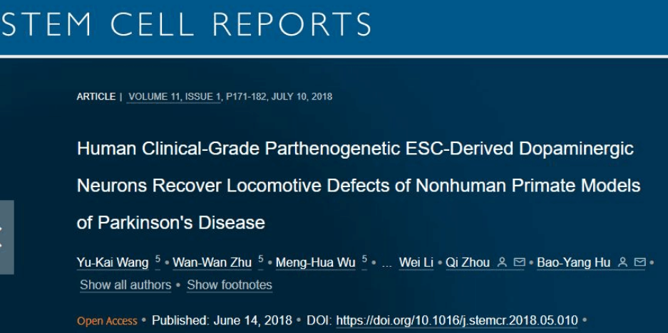 干细胞为帕金森患者带来新的希望
