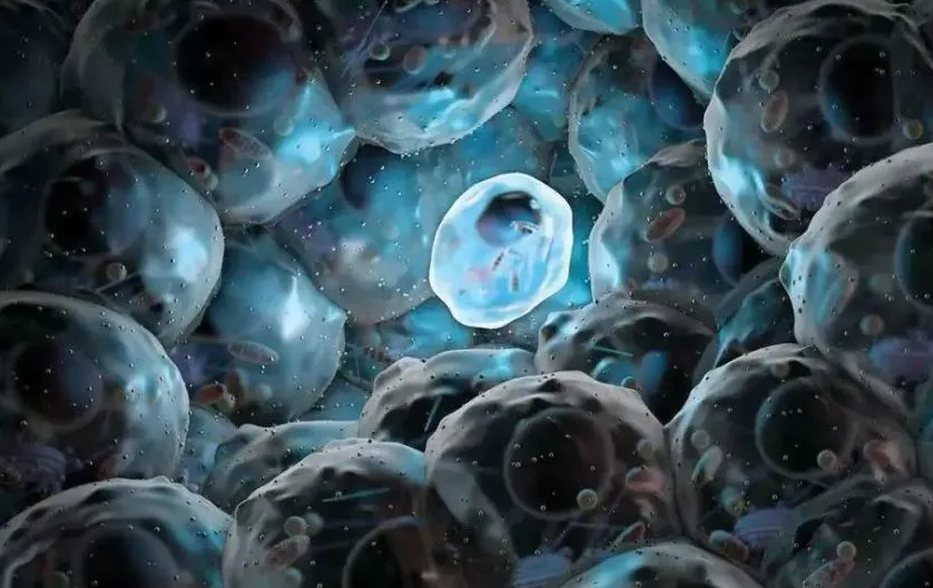 改善慢性疲劳综合征，干细胞来助攻