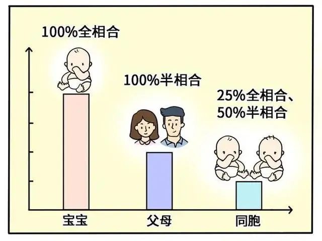 涨知识→脐带、胎盘来源的干细胞为什么不用配型